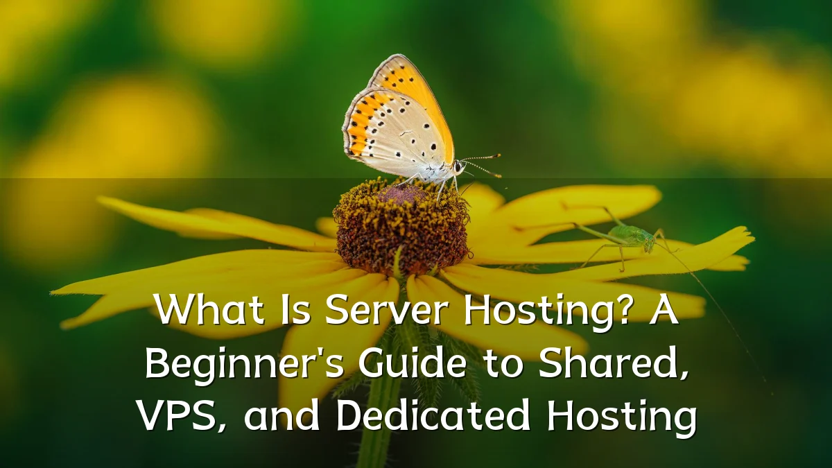 What Is Server Hosting? A Beginner's Guide to Shared, VPS, and Dedicated Hosting