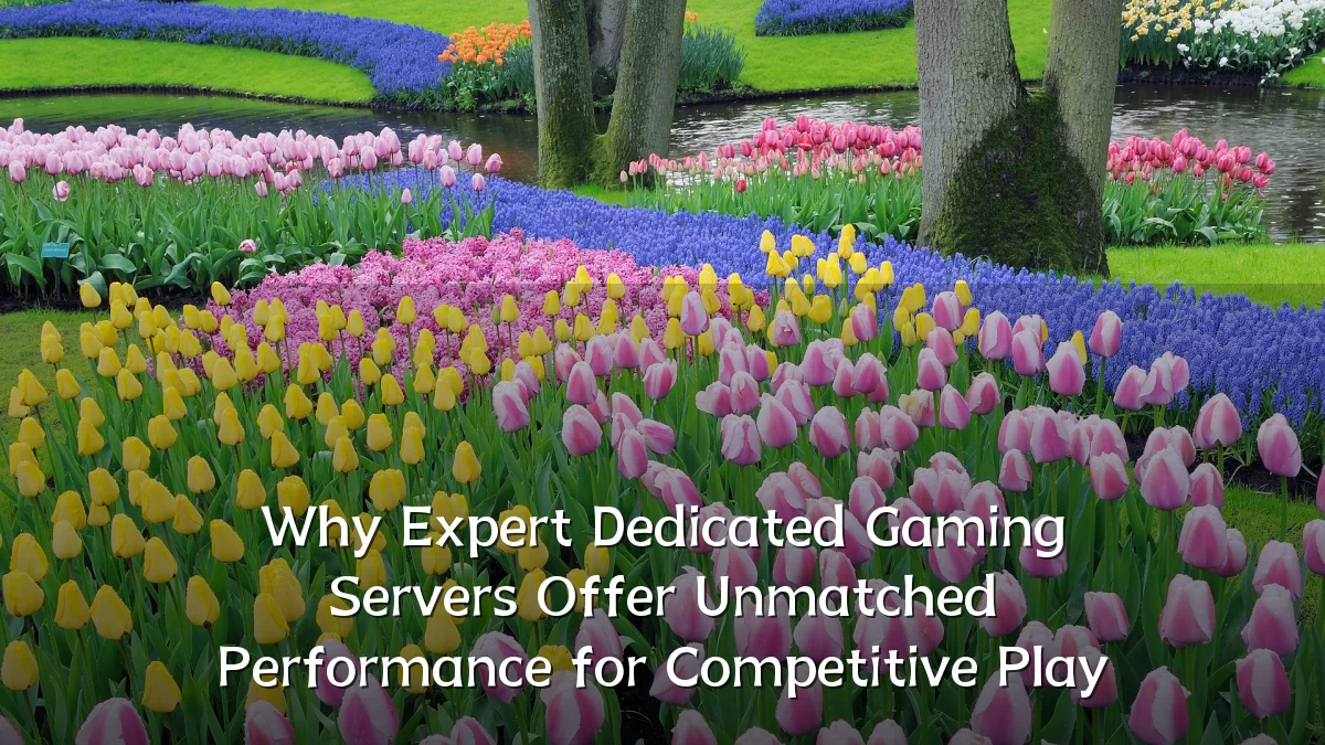 Why Expert Dedicated Gaming Servers Offer Unmatched Performance for Competitive Play