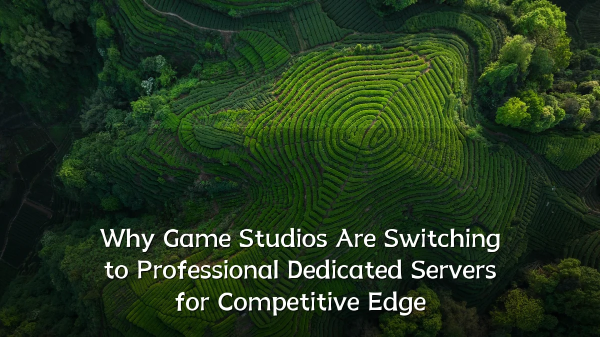 Why Game Studios Are Switching to Professional Dedicated Servers for Competitive Edge