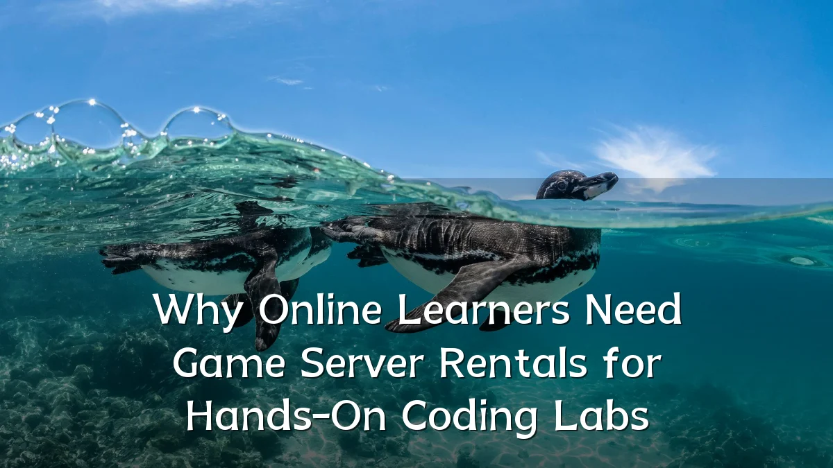 Why Online Learners Need Game Server Rentals for Hands-On Coding Labs