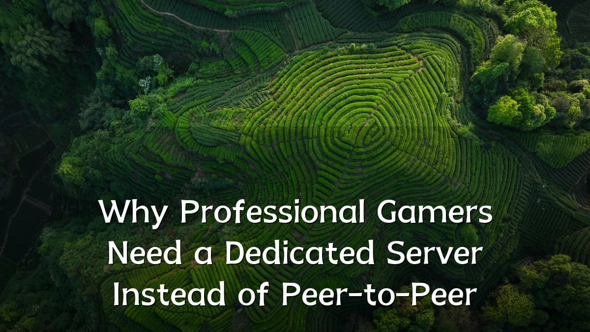 Why Professional Gamers Need a Dedicated Server Instead of Peer-to-Peer