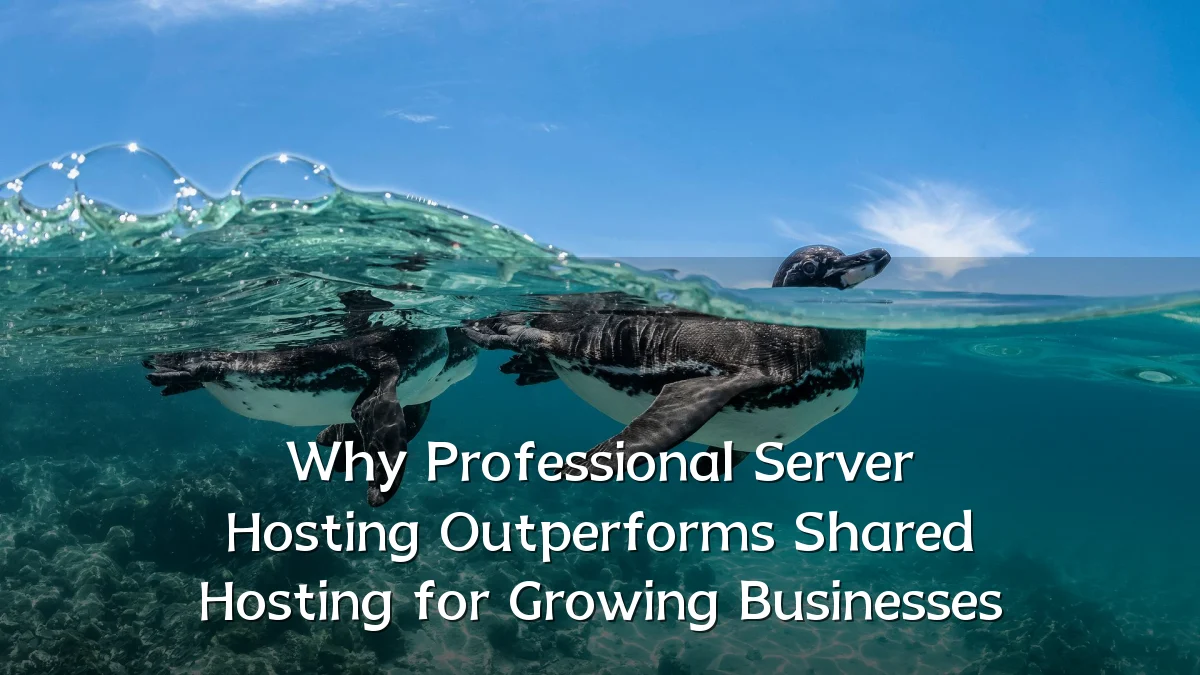 Why Professional Server Hosting Outperforms Shared Hosting for Growing Businesses