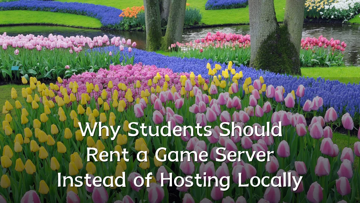 Why Students Should Rent a Game Server Instead of Hosting Locally