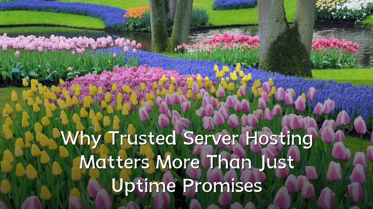 Why Trusted Server Hosting Matters More Than Just Uptime Promises