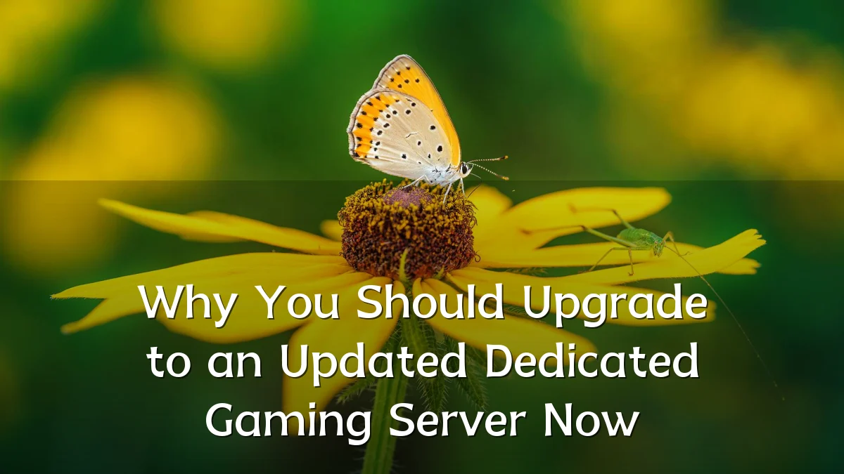 Why You Should Upgrade to an Updated Dedicated Gaming Server Now