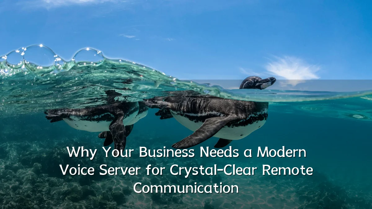 Why Your Business Needs a Modern Voice Server for Crystal-Clear Remote Communication