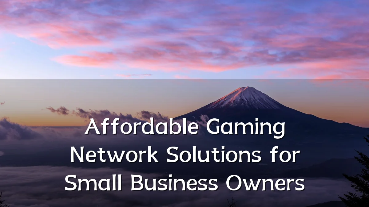 Affordable Gaming Network Solutions for Small Business Owners