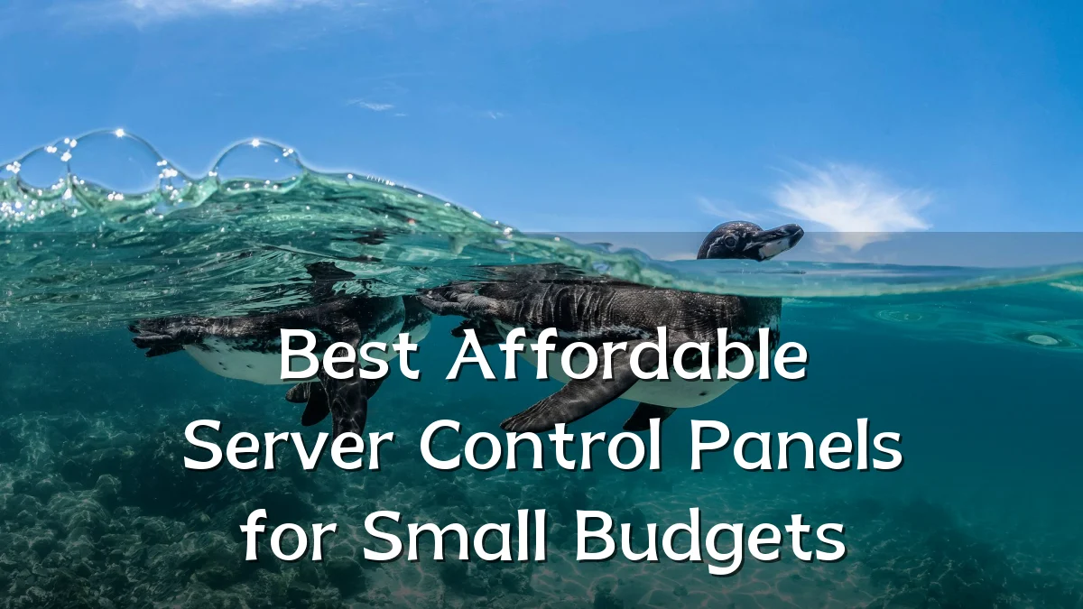 Best Affordable Server Control Panels for Small Budgets