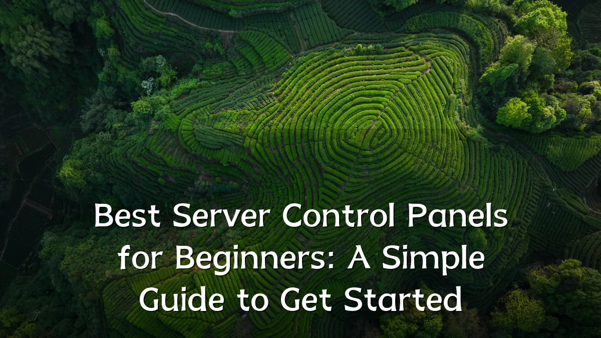 Best Server Control Panels for Beginners: A Simple Guide to Get Started