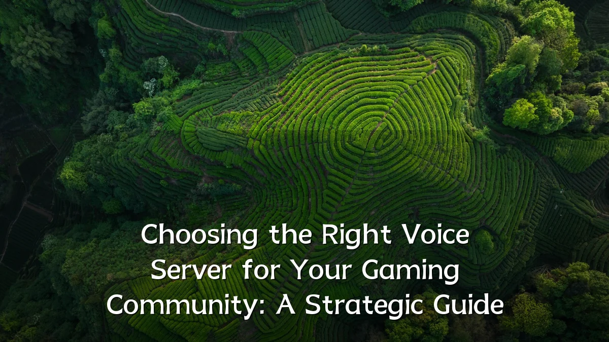 Choosing the Right Voice Server for Your Gaming Community: A Strategic Guide