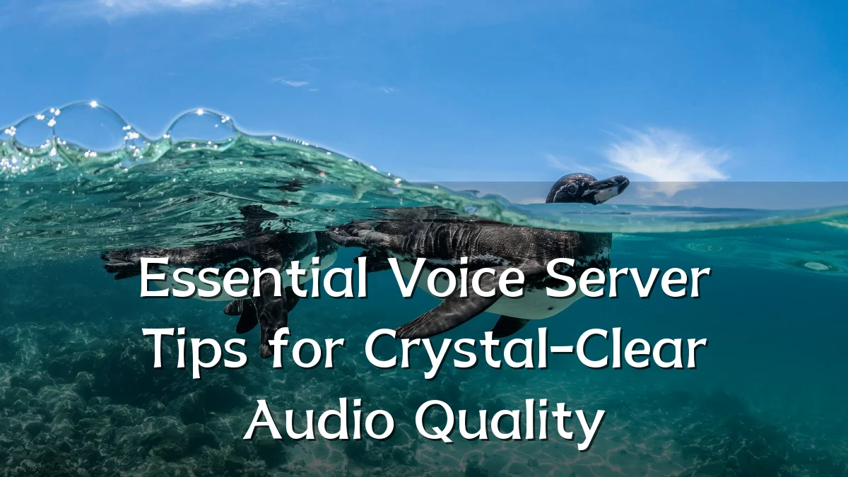 Essential Voice Server Tips for Crystal-Clear Audio Quality
