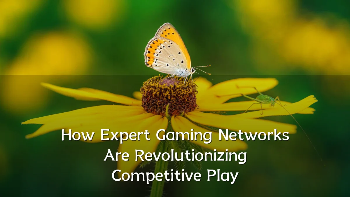 How Expert Gaming Networks Are Revolutionizing Competitive Play