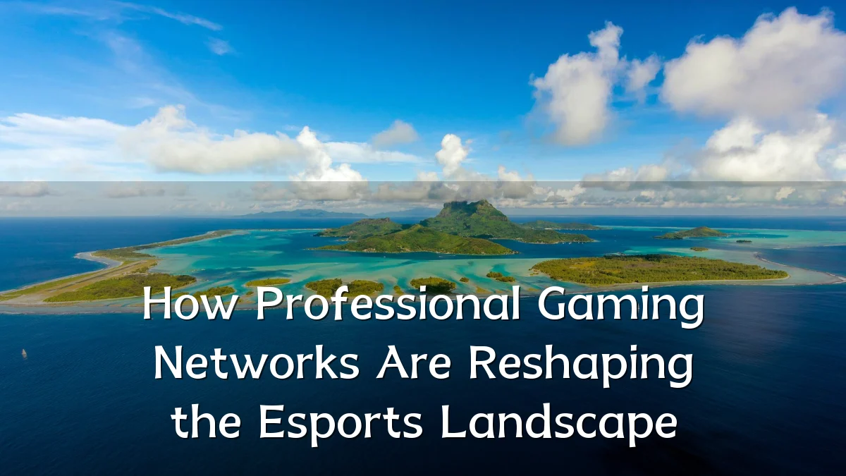 How Professional Gaming Networks Are Reshaping the Esports Landscape