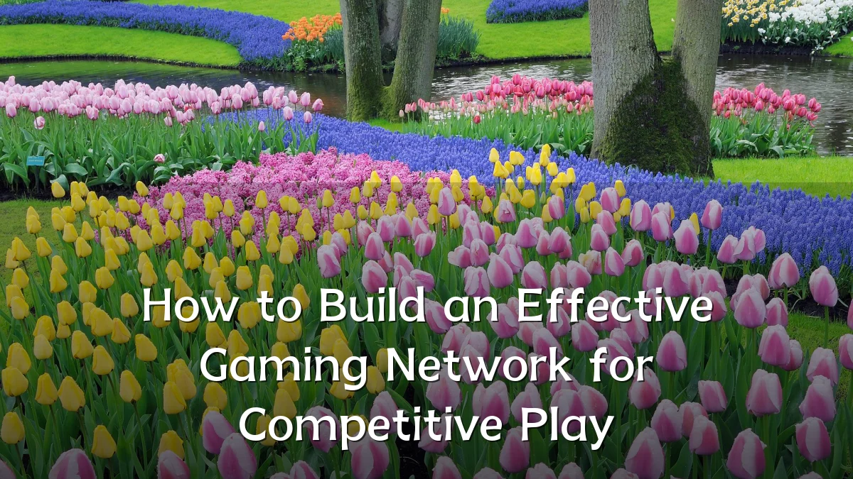 How to Build an Effective Gaming Network for Competitive Play