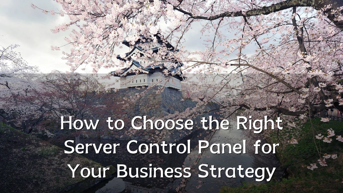 How to Choose the Right Server Control Panel for Your Business Strategy