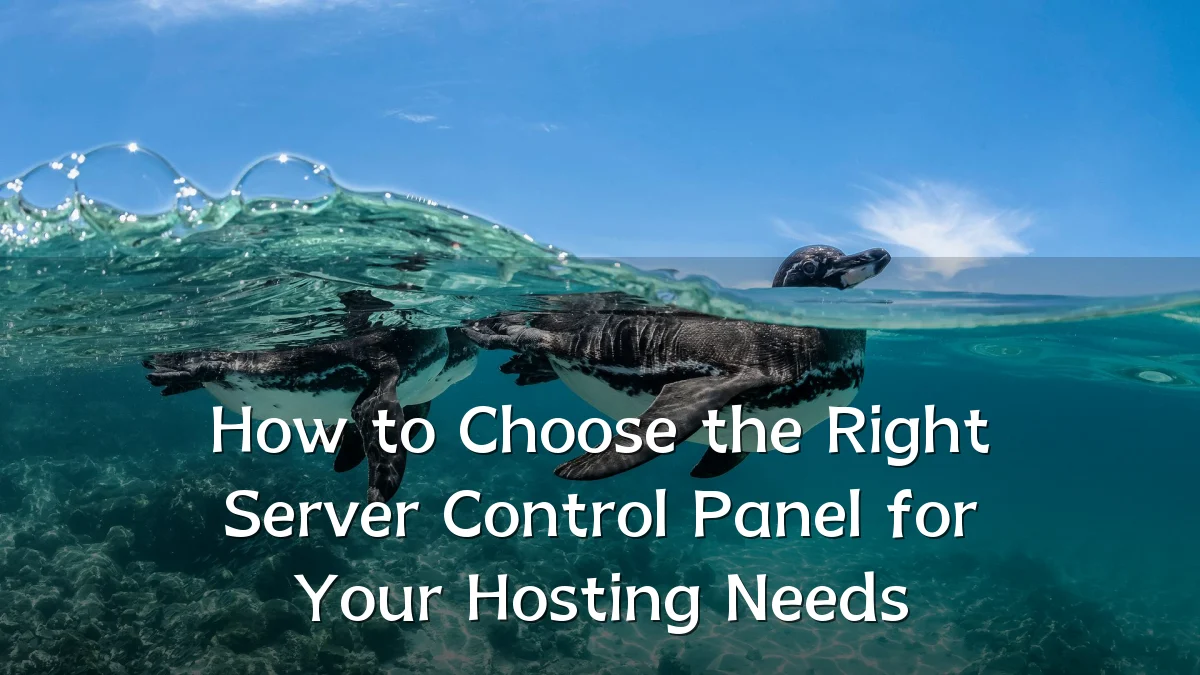 How to Choose the Right Server Control Panel for Your Hosting Needs