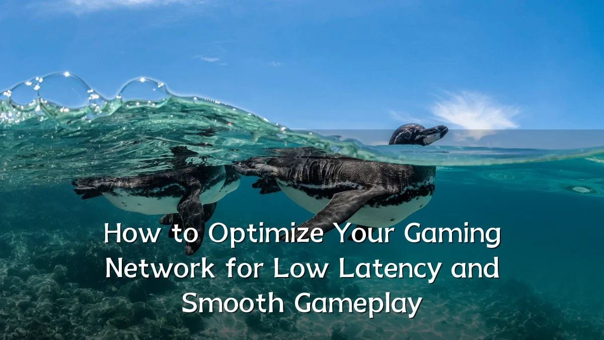 How to Optimize Your Gaming Network for Low Latency and Smooth Gameplay