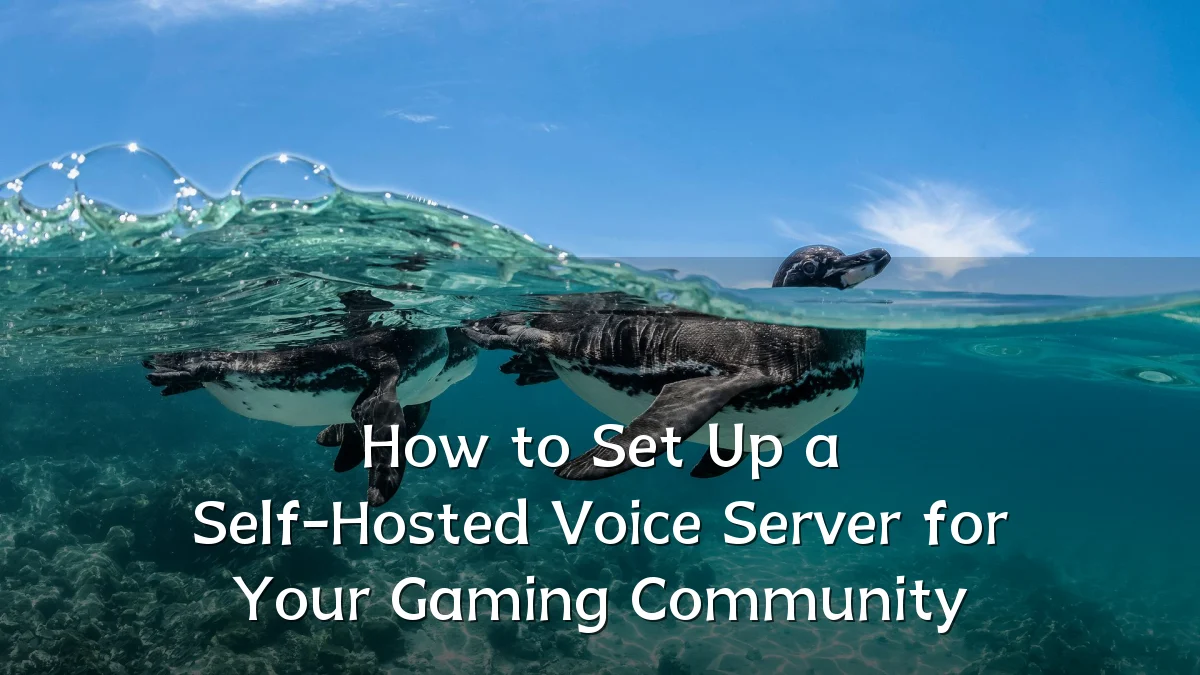 How to Set Up a Self-Hosted Voice Server for Your Gaming Community