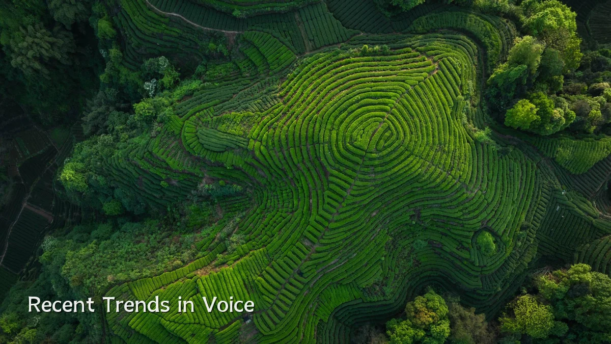 Recent Trends in Voice