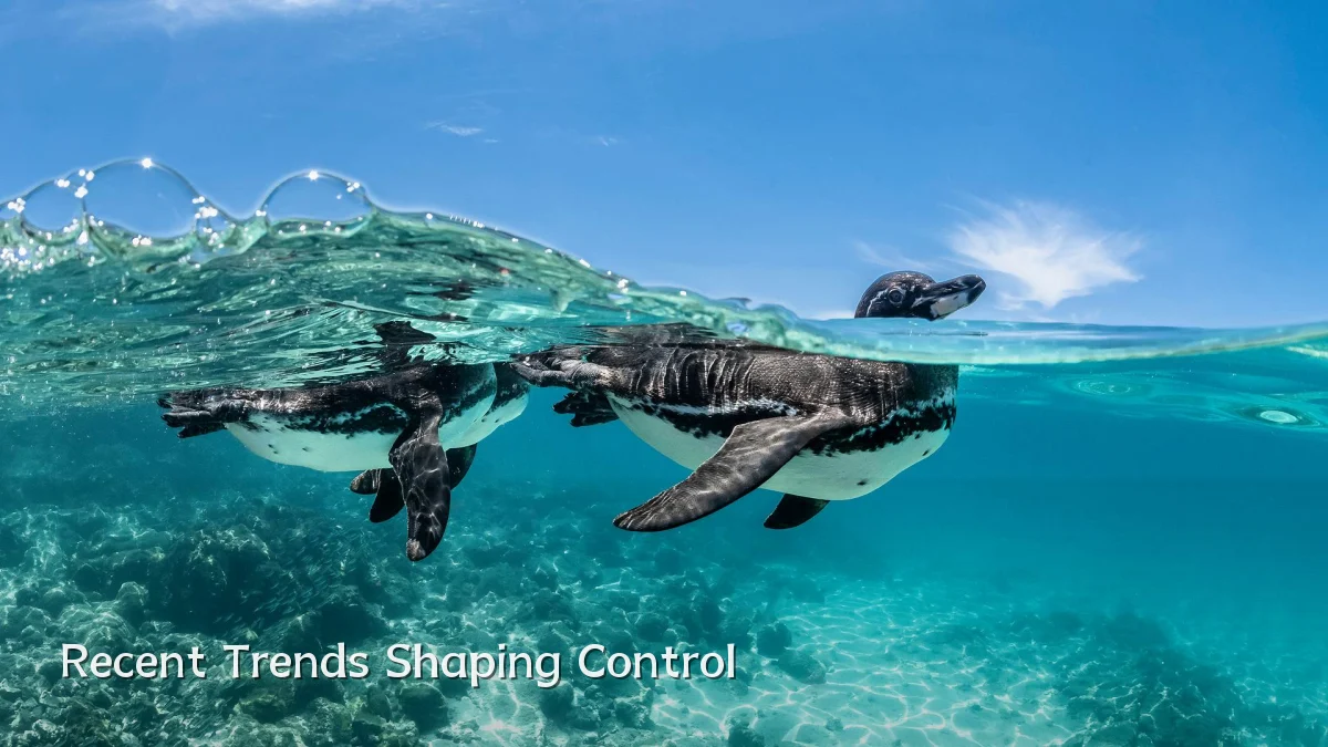 Recent Trends Shaping Control
