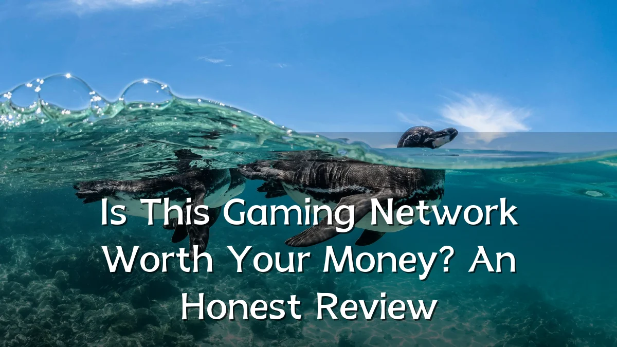 Is This Gaming Network Worth Your Money? An Honest Review