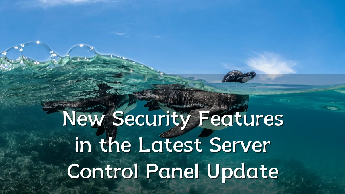 New Security Features in the Latest Server Control Panel Update