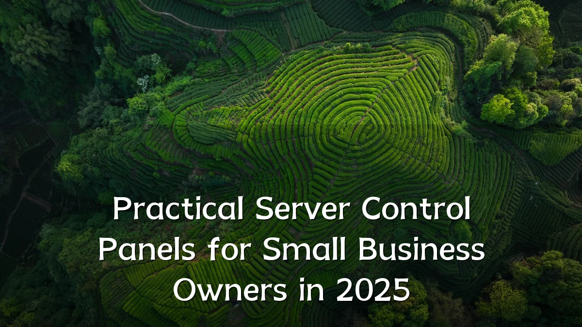 Practical Server Control Panels for Small Business Owners in 2025