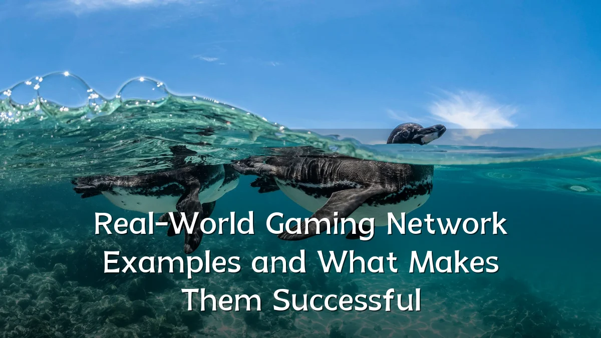 Real-World Gaming Network Examples and What Makes Them Successful
