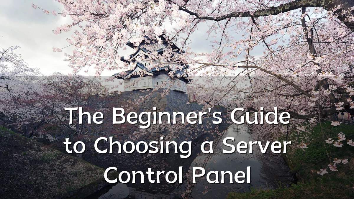 The Beginner's Guide to Choosing a Server Control Panel