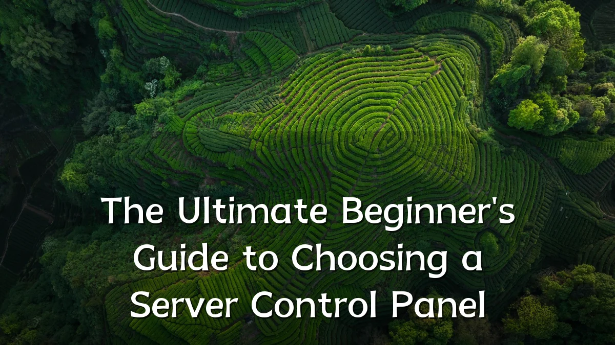 The Ultimate Beginner's Guide to Choosing a Server Control Panel