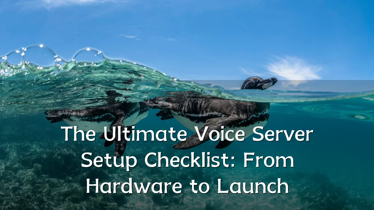 The Ultimate Voice Server Setup Checklist: From Hardware to Launch