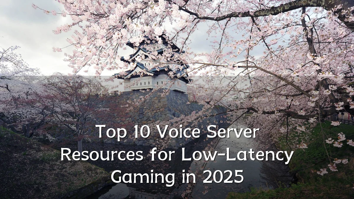 Top 10 Voice Server Resources for Low-Latency Gaming in 2025