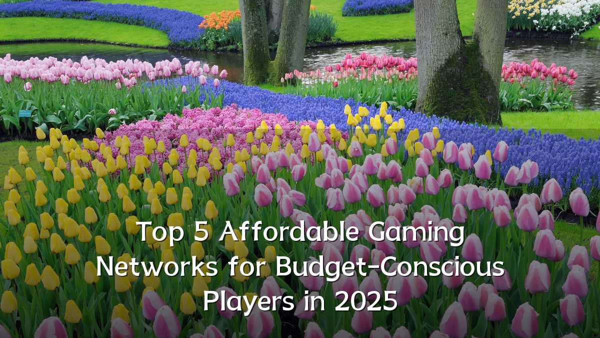 Top 5 Affordable Gaming Networks for Budget-Conscious Players in 2025