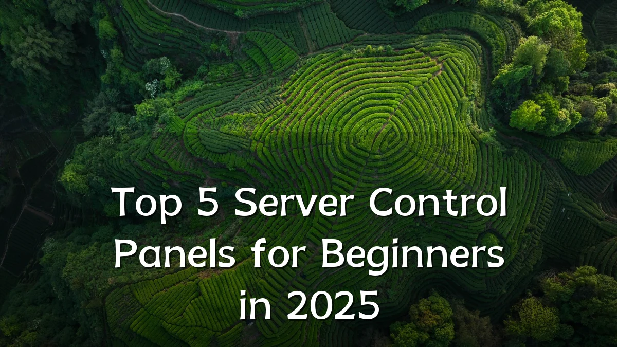 Top 5 Server Control Panels for Beginners in 2025
