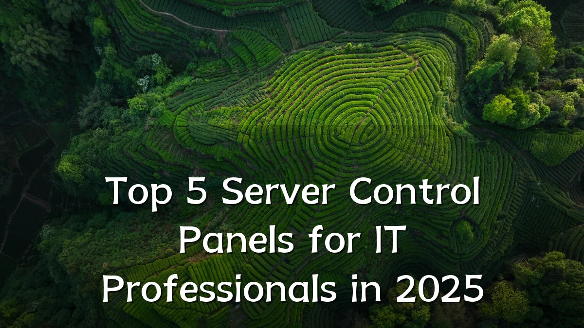 Top 5 Server Control Panels for IT Professionals in 2025