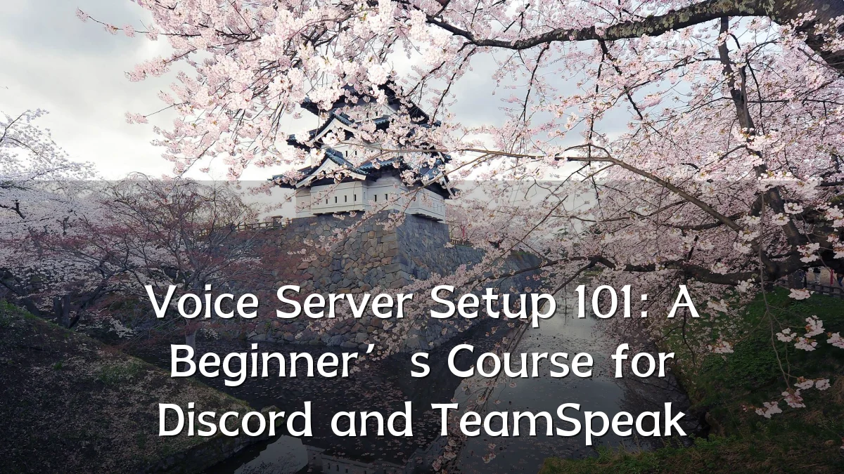 Voice Server Setup 101: A Beginner’s Course for Discord and TeamSpeak