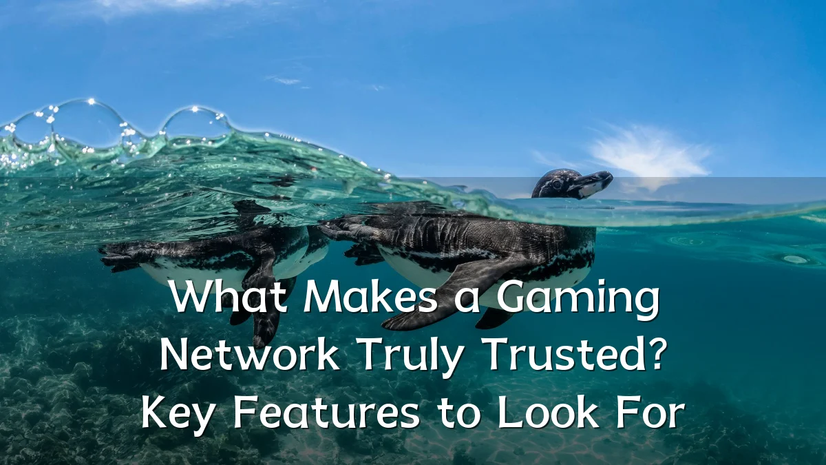 What Makes a Gaming Network Truly Trusted? Key Features to Look For