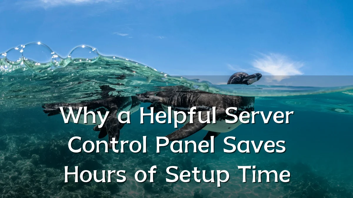 Why a Helpful Server Control Panel Saves Hours of Setup Time