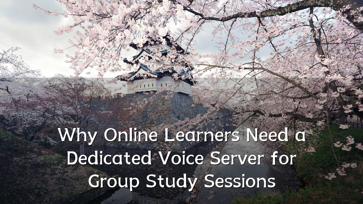 Why Online Learners Need a Dedicated Voice Server for Group Study Sessions