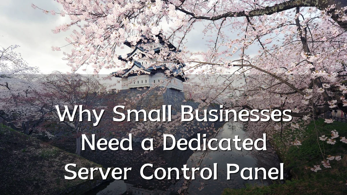 Why Small Businesses Need a Dedicated Server Control Panel