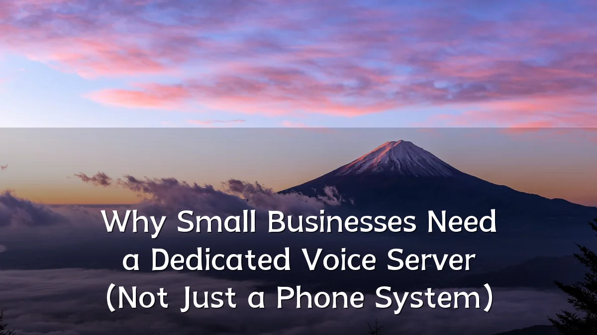 Why Small Businesses Need a Dedicated Voice Server (Not Just a Phone System)