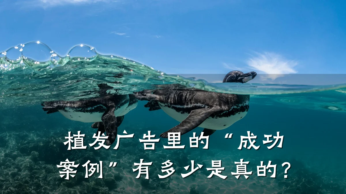 植发广告里的“成功案例”有多少是真的？