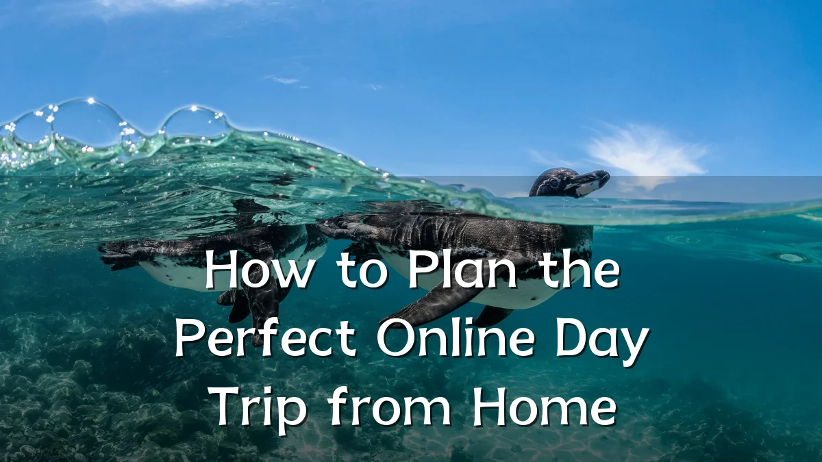 How to Plan the Perfect Online Day Trip from Home