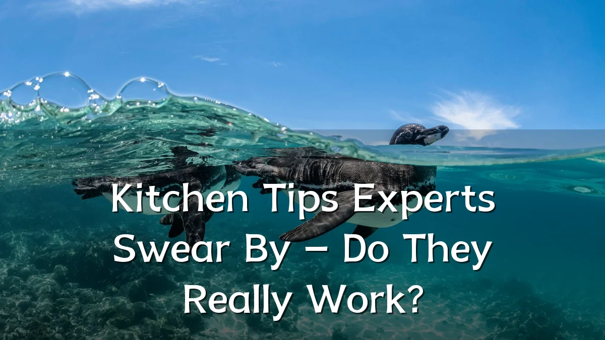 Kitchen Tips Experts Swear By – Do They Really Work?