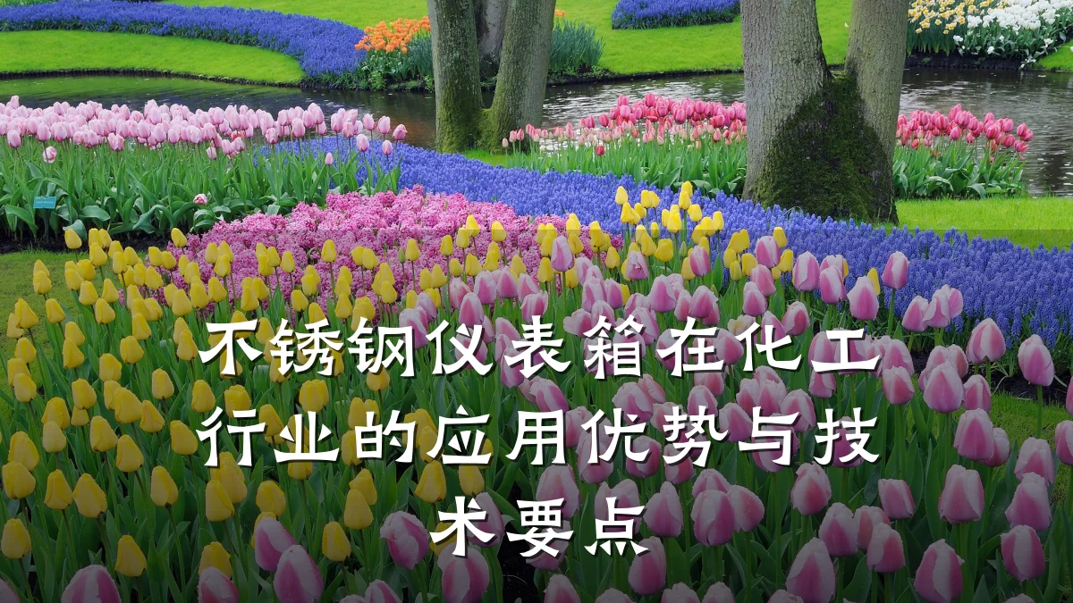 不锈钢仪表箱在化工行业的应用优势与技术要点