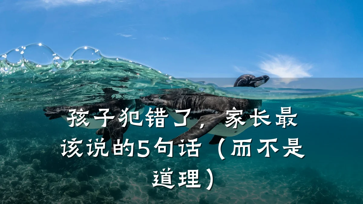 孩子犯错了，家长最该说的5句话（而不是道理）