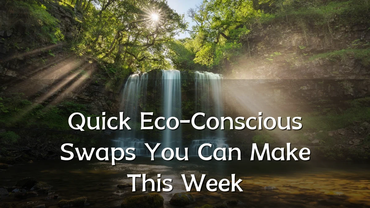Quick Eco-Conscious Swaps You Can Make This Week